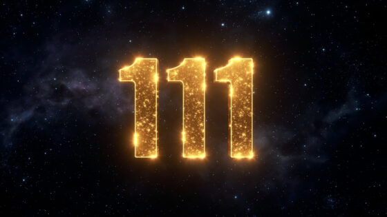 111