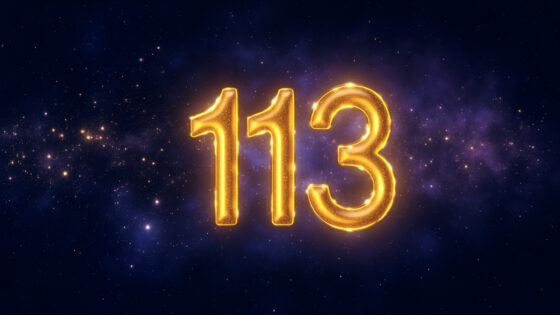 113