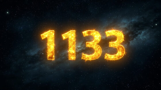 1133