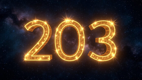203