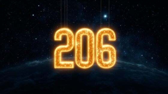206
