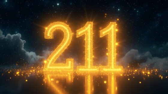 211