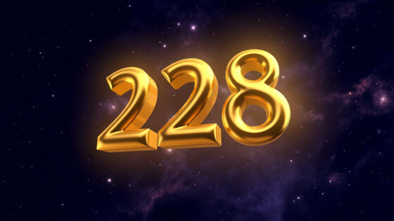 228