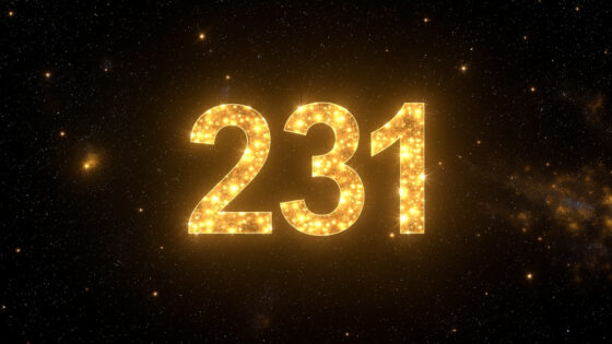 231