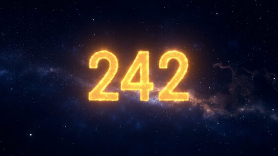 242