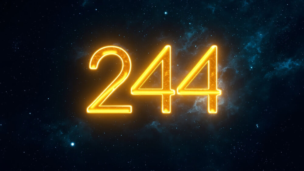 244