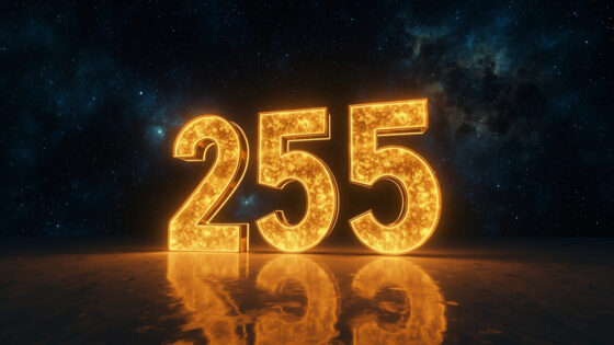 255