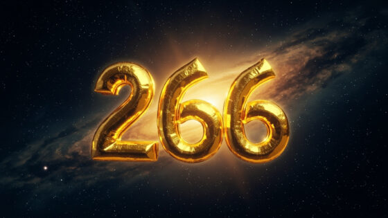 256
