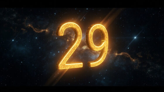 29