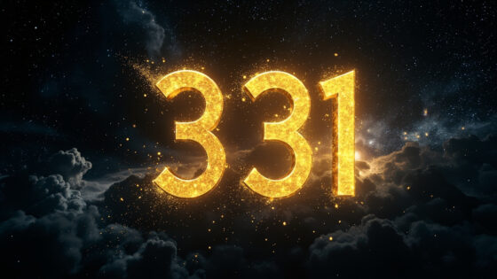 331
