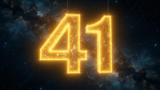 41