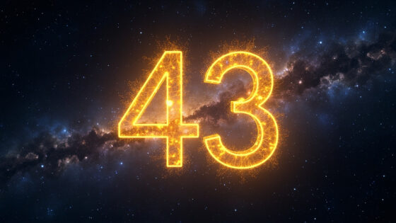 43