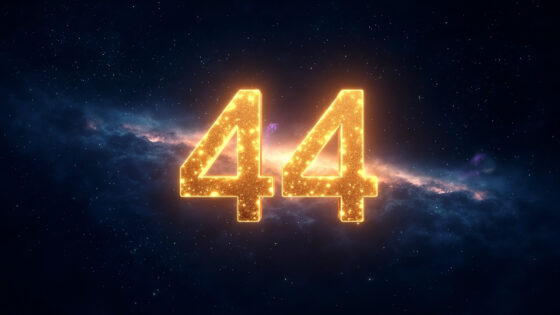 44