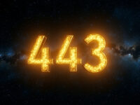 443