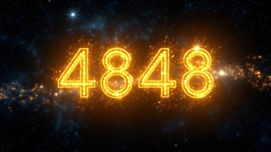 4848