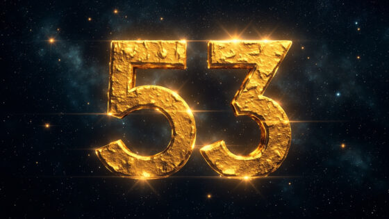 53