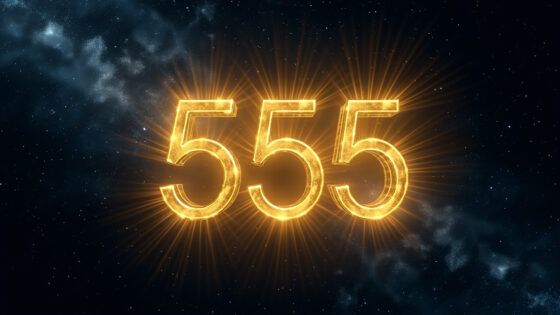 555