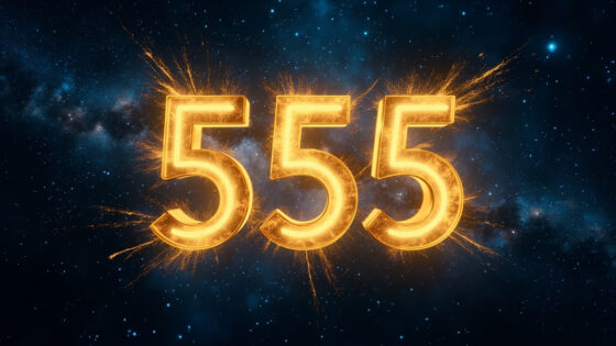 555