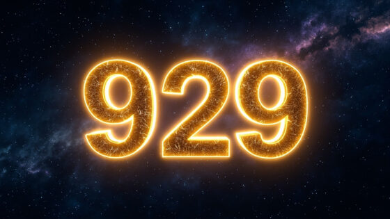 929