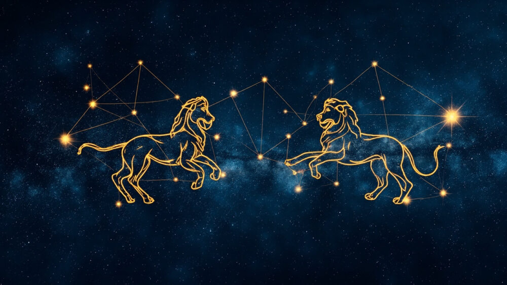 Aquarius Man & Leo Woman