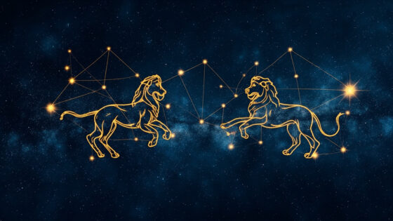 Aquarius Man & Leo Woman