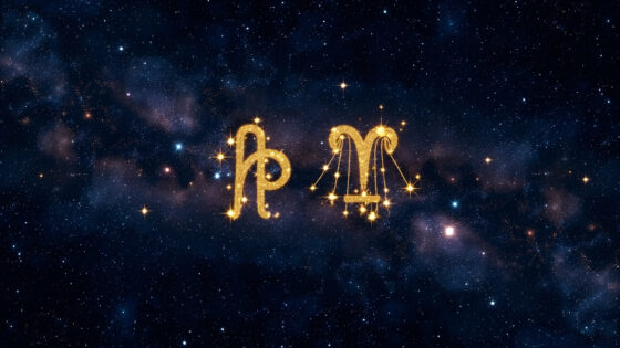 Aquarius Woman & Virgo Woman