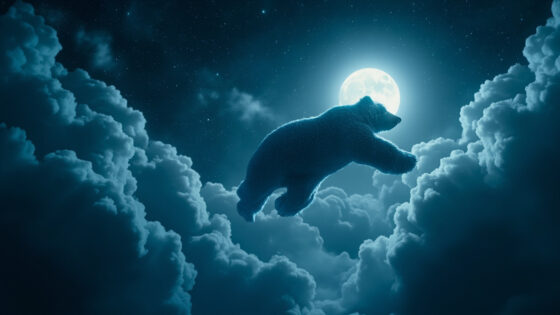Bear
