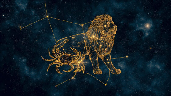 Cancer Man & Leo Man
