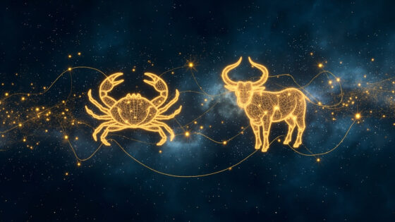 Cancer Man & Taurus Woman