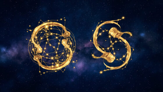 Cancer Woman & Pisces Woman