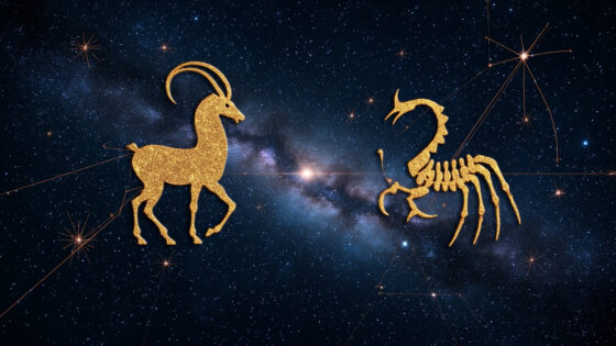 Capricorn Man & Scorpio Woman