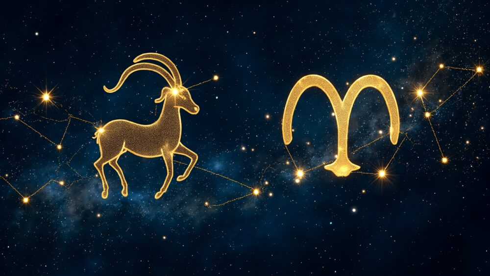 Capricorn & Taurus