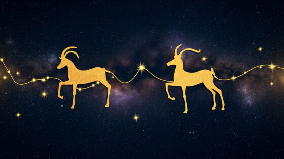 Capricorn Woman & Aquarius Woman