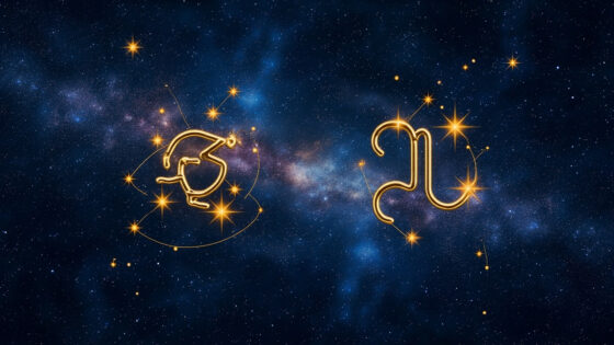 Gemini & Capricorn
