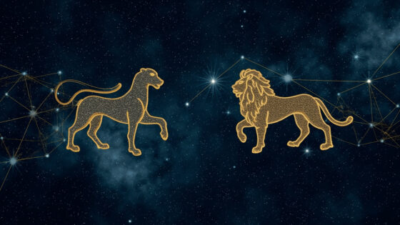 Gemini Man & Leo Man