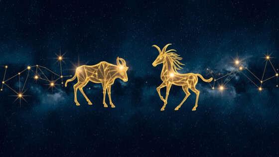 Gemini Man & Taurus Woman