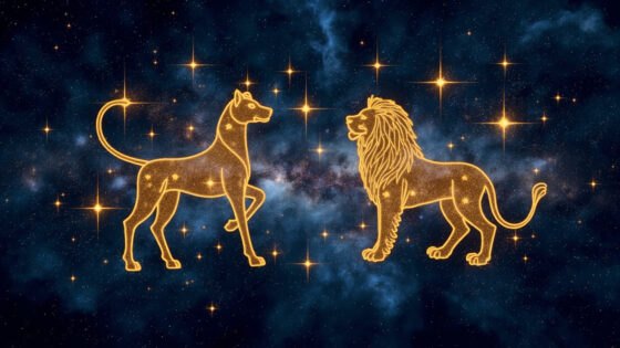 Gemini Woman & Leo Woman
