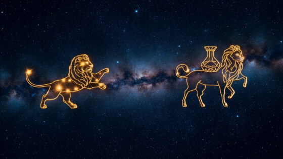 Leo Man & Aquarius Woman