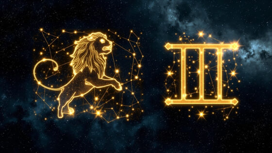 Leo Man & Gemini Man