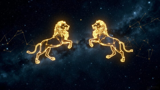 Leo Man & Leo Woman