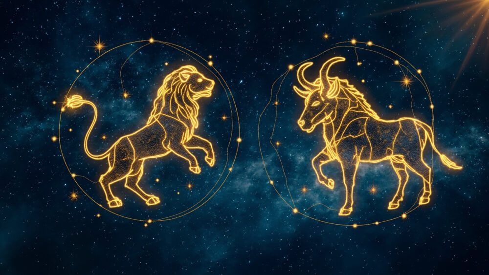 Leo Man & Taurus Man