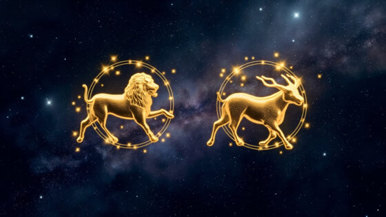 Leo Woman & Taurus Man