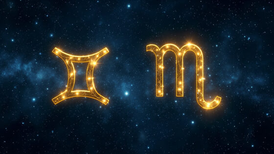 Pisces Man & Virgo Man