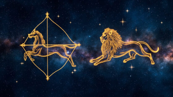 Sagittarius Man & Leo Man
