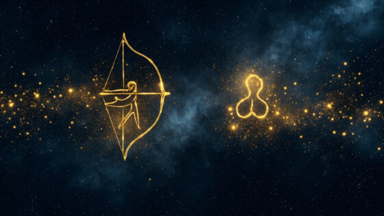 Sagittarius Woman & Virgo Man