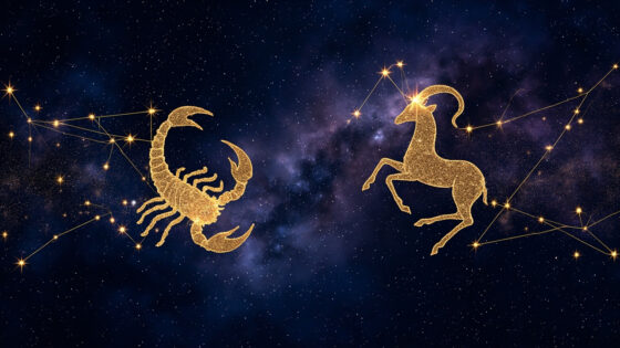 Scorpio & Aries