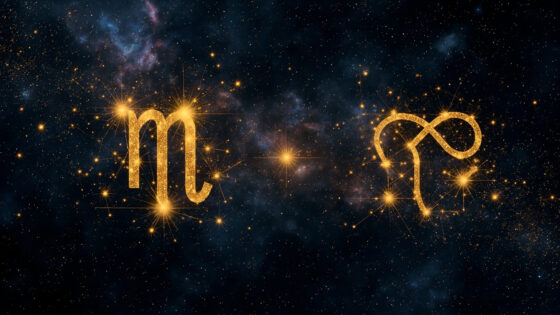 Scorpio Man & Virgo Woman