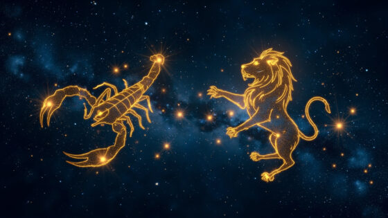 Scorpio Woman & Leo Man
