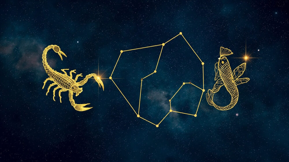 Scorpio Woman & Pisces Woman