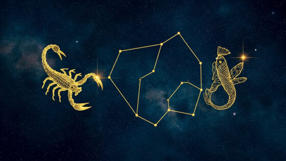 Scorpio Woman & Pisces Woman